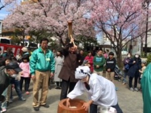 sakura